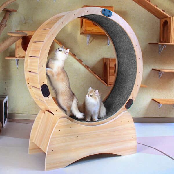 Cat Exercise Wheel – Running, Spinning, and Scratching Fun