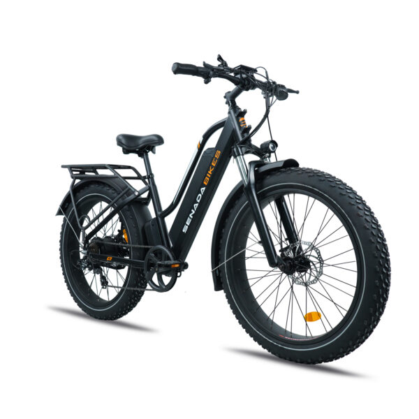 Electric Bike Herald Pro